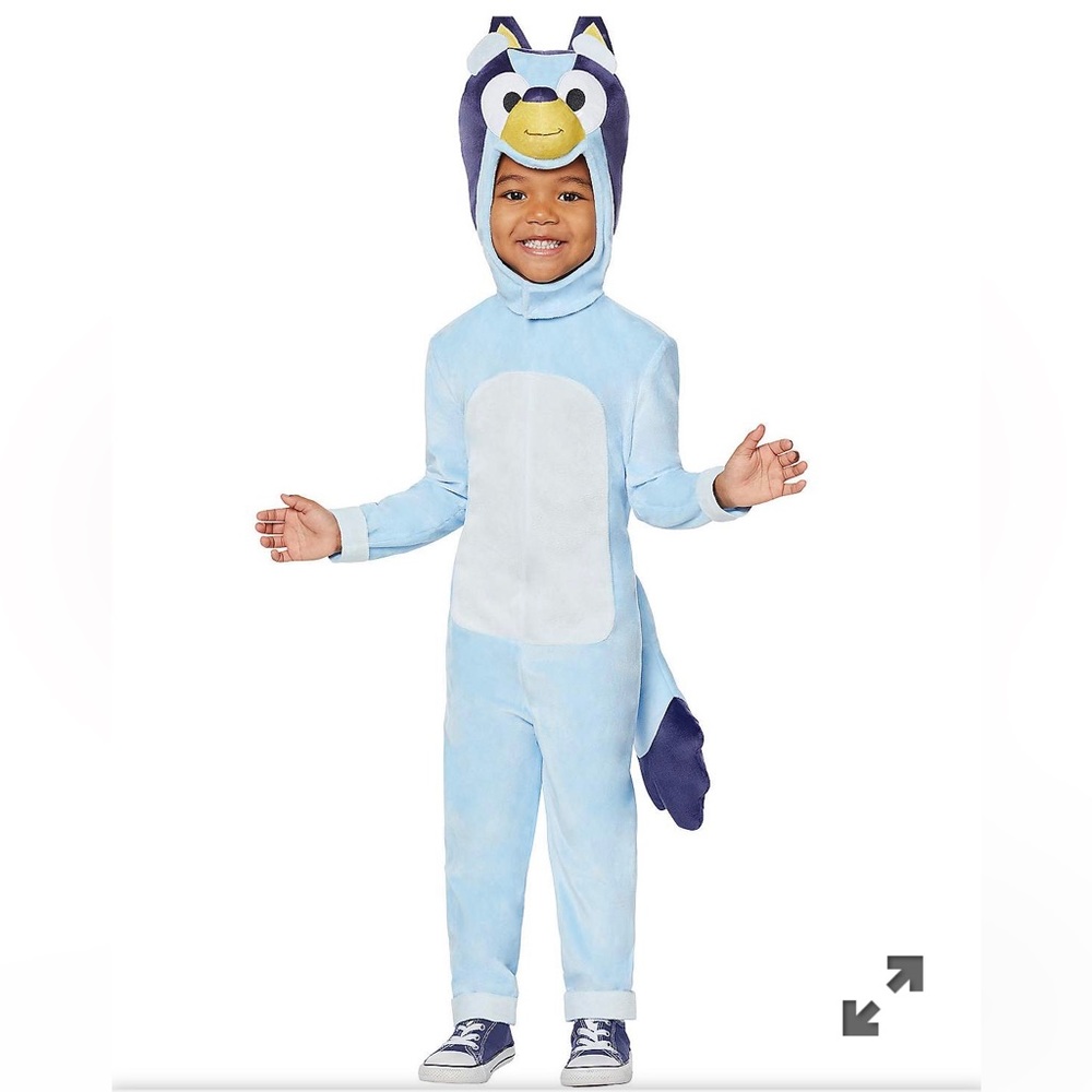 Bluey Costume